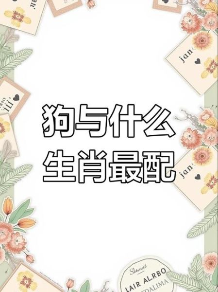 生肖狗适合什么属相（属狗的和什么属相最合？）