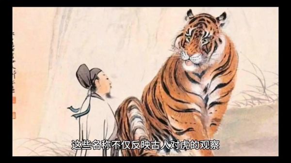 许慎生肖属相是什么生肖（许慎属相是什么生肖？）