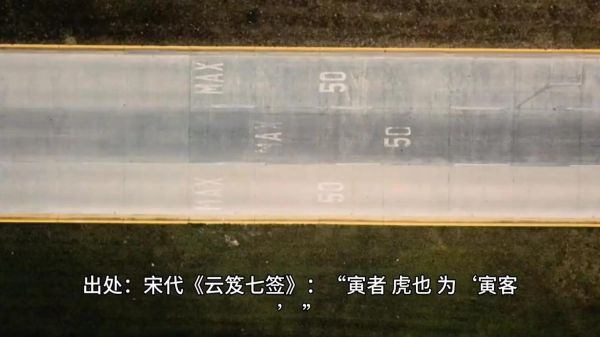 许慎生肖属相是什么生肖（许慎属相是什么生肖？）