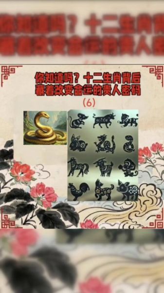 蛇的生肖贵人属相(蛇的贵人属相是谁)