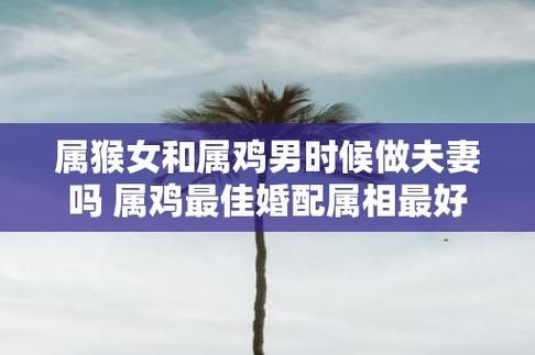 生肖鸡属相婚姻配对猴（鸡女与猴男婚恋配对全攻略）