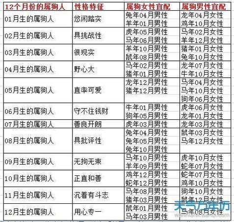 生肖狗适合哪个属相(生肖狗和什么属相最配)