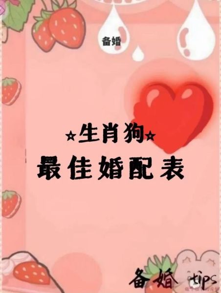 生肖狗适合哪个属相(生肖狗和什么属相最配)