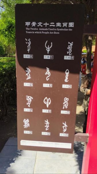 甲骨文的十二生肖属相（甲骨文十二生肖属相写法）