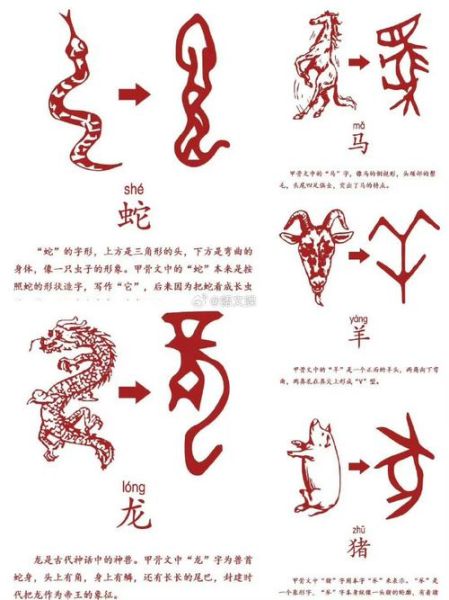 甲骨文的十二生肖属相（甲骨文十二生肖属相写法）