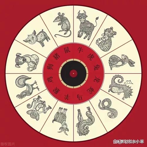 雷属相是什么生肖（雷属什么生肖揭秘）
