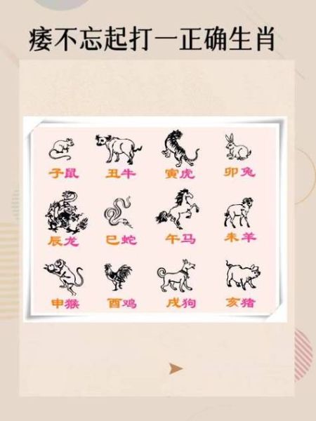 十二生肖成龙属相（成龙的生肖是什么？答案在这里🐲）