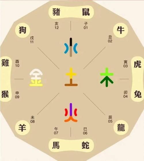 80多岁属什么生肖属相(80多岁属什么生肖的属相)