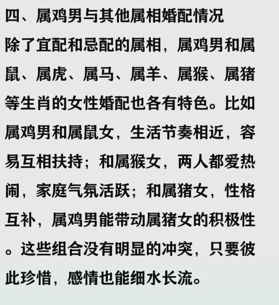 生肖鸡和什么属相好（生肖鸡最适合哪个属相婚配）