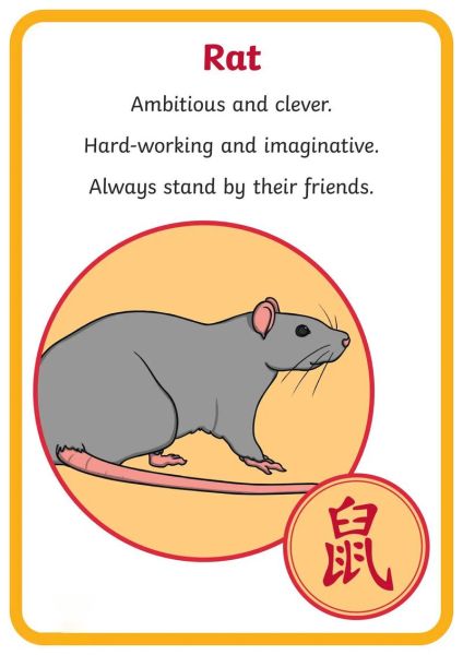 生肖老鼠属相及特点（老鼠属相及性格特点详解）