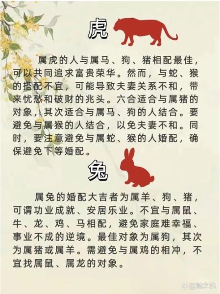 生肖绝配的属相男人(哪个属相的男人最绝配十二生肖)