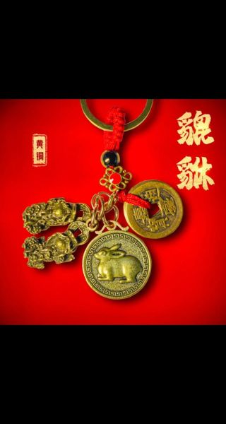 黄铜属相生肖挂件（黄铜生肖挂件风水禁忌与佩戴指南）