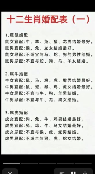 生肖鼠的配对属相（生肖鼠的婚配属相一览表）