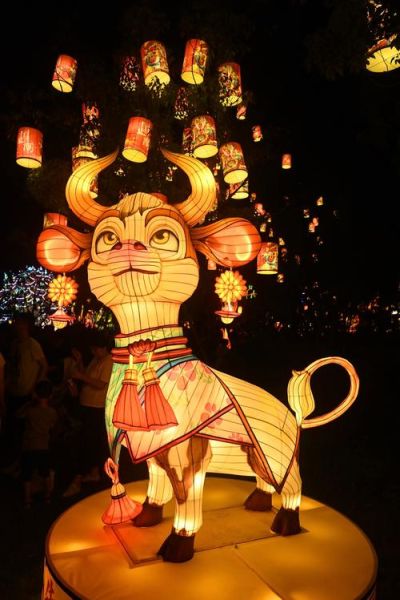 生肖属相夜灯（生肖属相夜灯什么礼物好）