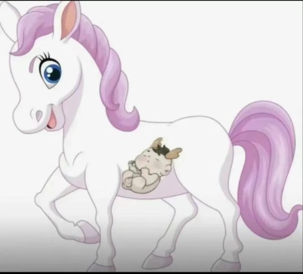 生肖马和兔孩子属相（属马妈妈生属兔宝宝合不合）