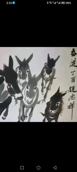 赵忠祥属什么生肖属相（赵忠祥属什么生肖）