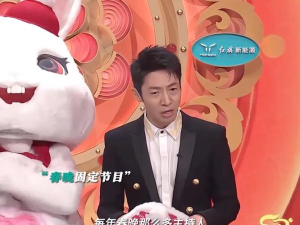 撒贝宁什么生肖属相（撒贝宁属什么生肖？小白也能看懂）