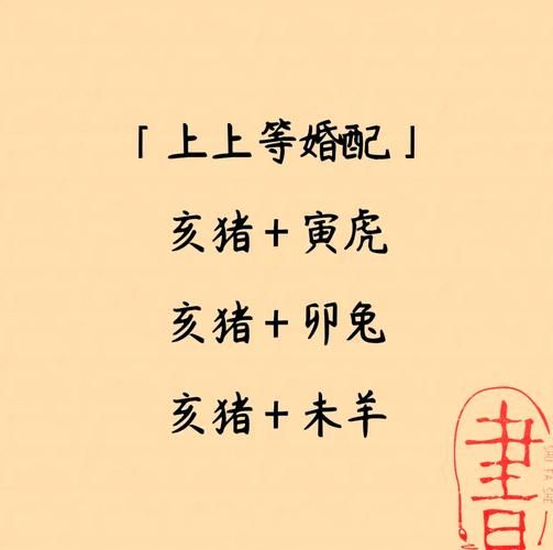 猪年生肖配对最好属相