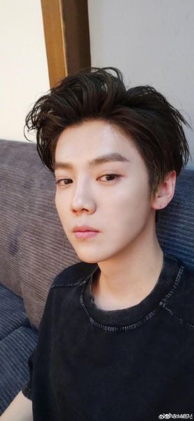 鹿晗是什么生肖属相(鹿晗属什么生肖?新手也能秒懂😎)