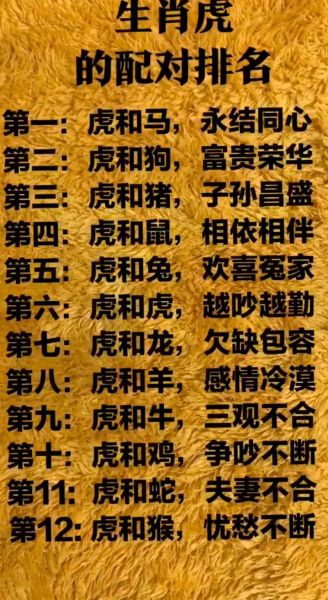 生肖虎配对最好的属相男(生肖虎男最佳配偶属相盘点)