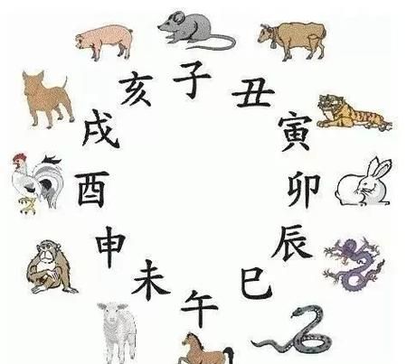 生肖不合属相相合（生肖不合但属相相合能结婚吗？真相来了）