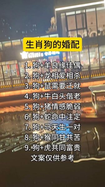 生肖狗适合属相（生肖狗跟什么属相最合适）