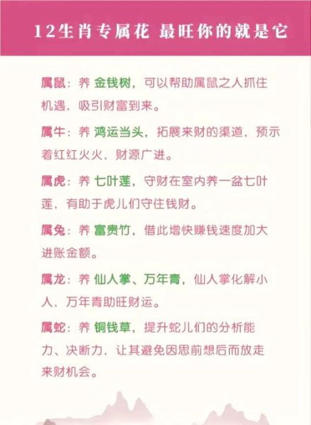 生肖属相花草摆设（生肖属相花草摆设怎么选？小白一学就会）