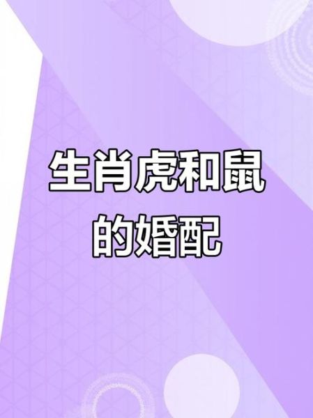 虎鼠生肖属相婚配(虎鼠生肖婚配合不合适)