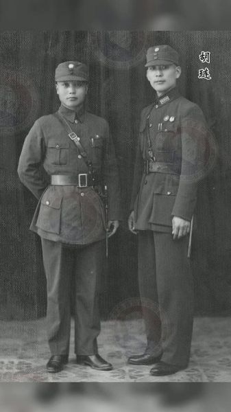 胡琏什么生肖属相（胡琏是什么生肖？小白一看就懂）