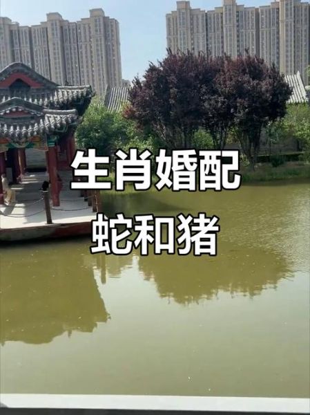 生肖猪与生肖蛇属相（生肖猪与蛇相冲吗？吉凶速查宝典）