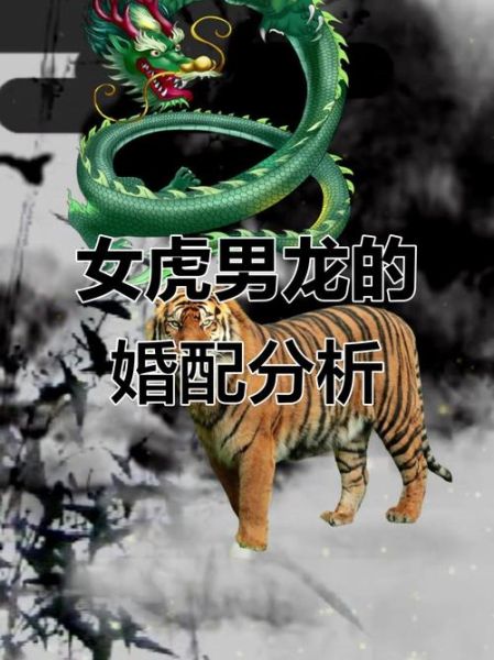 生肖虎忌属相龙（生肖虎忌属相龙到底什么意思）