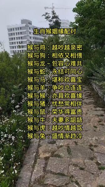 生肖猴绝配属相（生肖猴绝配属相有哪些）