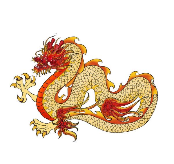 生肖属相一样（生肖同属相不同命运 🐉）