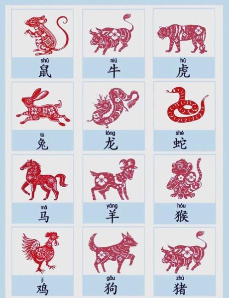 韩国生肖属相和孩子（韩国生肖属相怎么看孩子性格）
