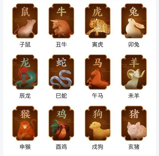 美国生肖属相吗（美国生肖属相吗？星座代替了吗？😵）