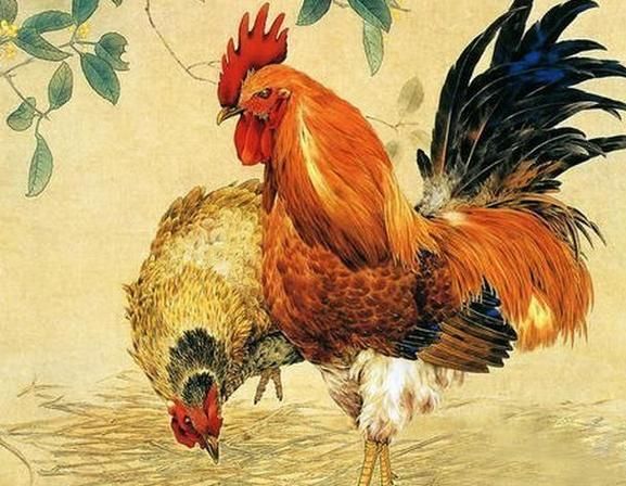 生肖马和属相鸡（属马和属鸡的婚姻相配吗）