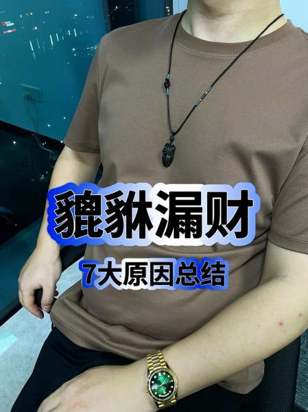 貔貅适合的生肖属相（貔貅适合哪些生肖佩戴？新手一看就懂）