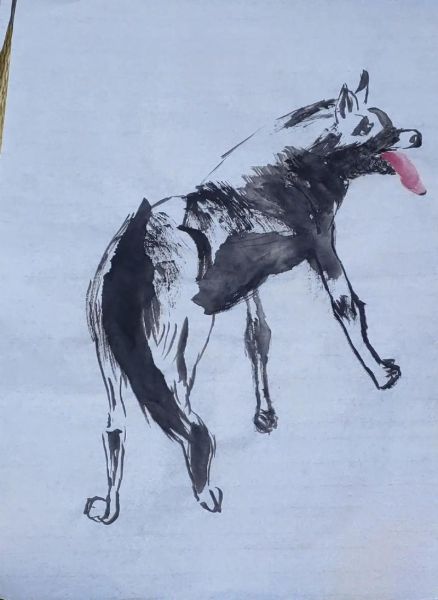 狗属于什么生肖属相（狗属于什么生肖？一分钟搞懂戌狗含义!）