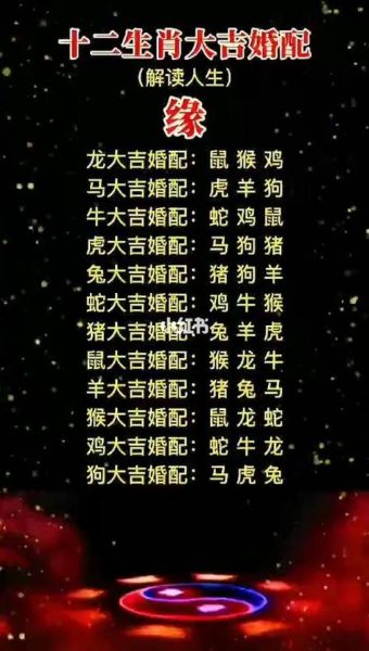 49属相属什么生肖（49属相属什么生肖？小白速查）