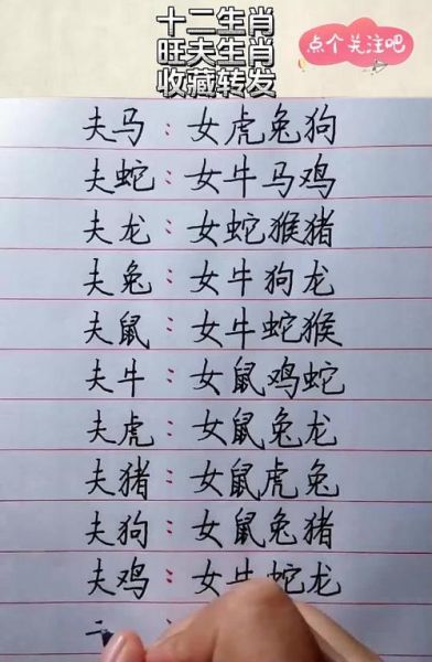 生肖最旺夫的属相(最旺夫的生肖排行揭秘)