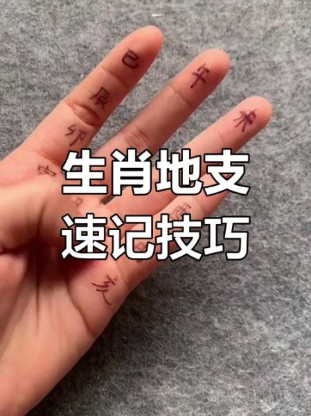 手掌速记生肖属相（手掌速记生肖属相口诀图解大全）