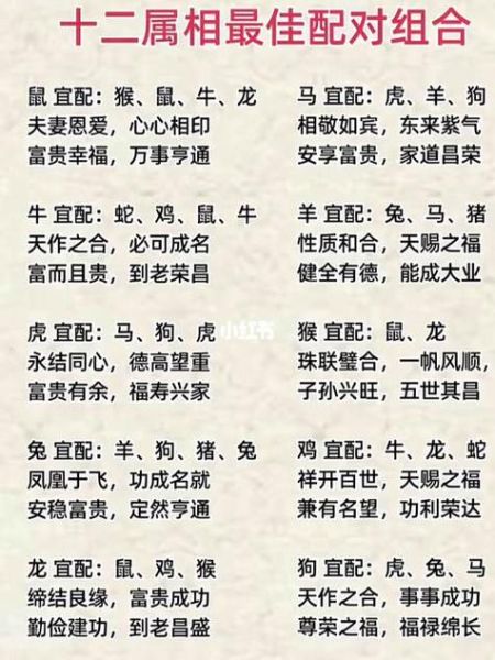 生肖属相提示器（生肖属相快速查询器怎么用？小白一学就会）