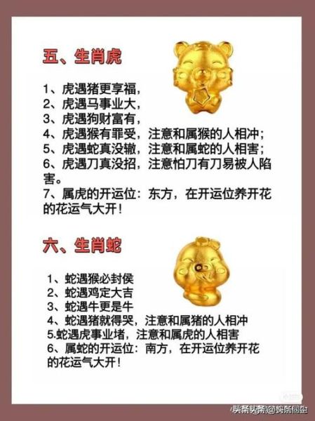 生肖属相恩人（属相对我们好的贵人是谁？生肖属相恩人排行来了👑）