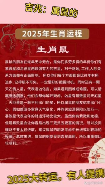 生肖鼠是什么属相（生肖鼠是哪一年出生的）