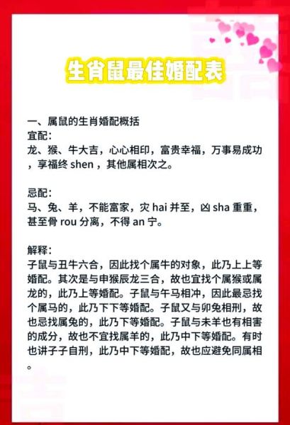生肖鼠的配偶和属相(生肖鼠最佳配偶属相有哪些?)