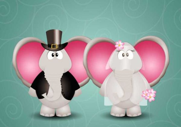 生肖龙虎不配什么属相好（生肖龙和虎最怕配哪个属相？）