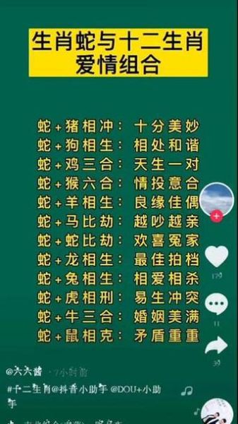 生肖鸡狗属相关系（生肖鸡和狗相冲吗）