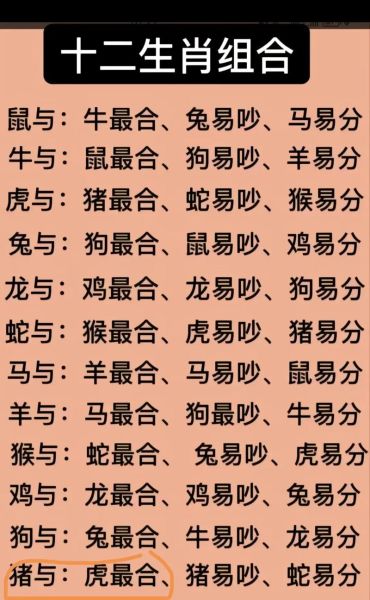 生肖虎配对婚姻最佳属相（生肖虎婚配哪个生肖最好？）