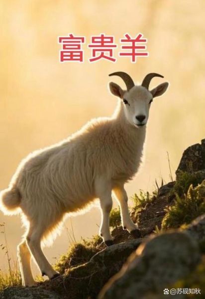 1943年生肖属相（1943年属什么生肖？🐑）