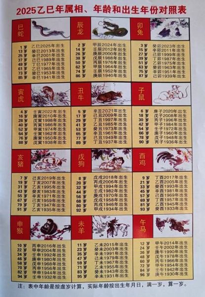 生肖狗的属相年龄（生肖狗2025到底几岁？一张表全看懂！）